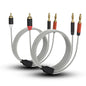 HOSONGIN RCA to Banana Plug Speaker Cable 3.3 Feet -2 Pack, Gold-Plated Dual-Shielding Hi-Fi Stereo Cable for Home Theater/Amplifier/Subwoofer/Speaker/Audio Receiver/Vinyl Record Player/SoundBar