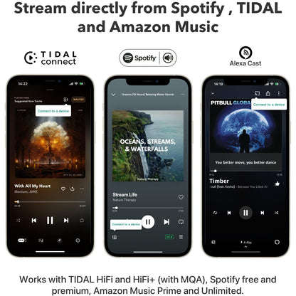 WiiM Pro Music Streamer to Upgrade Stereo with AirPlay 2, Spotify Connect