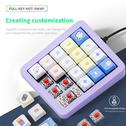 Adventurers K812 Wired Mechanical Numeric Keypad, 19-Key Hot-Swappable RGB Numpad, Macro Programmable, Detachable Type-C Cable, Game/Office Mode Switch – for PC/Laptop/Desktop (Purple)