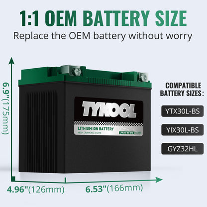 TYKOOL LFP30L-BS-STD Lithium Battery, Replaces YTX30L-BS, 650CCA 12Ah Fits for Motorcycle UTV ATV PWC, Compatible with Harley Touring Road King Moto Guzzi 1000cc Polaris Ranger RZR 800,Digital Readout