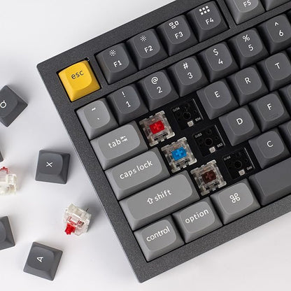 Keychron Q1 RGB Wired Custom Mechanical Keyboard Knob Version, 75% Layout QMK/VIA Programmable with Hot-swappable Gateron G Pro Blue Switch Double Gasket Compatible with Mac Windows Linux (Grey)