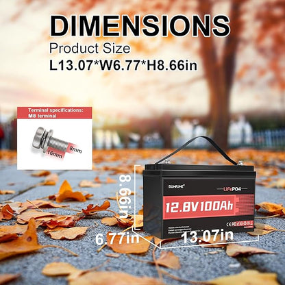 12V 100Ah LiFePO4 Lithium Battery Built-in 100A BMS, Group 31 Rechargeable Battery 6000+ Cycles 1280Wh Perfect for RVs MotorHomes, Camper, Marine, Solar System, Boats, and Off-Grid