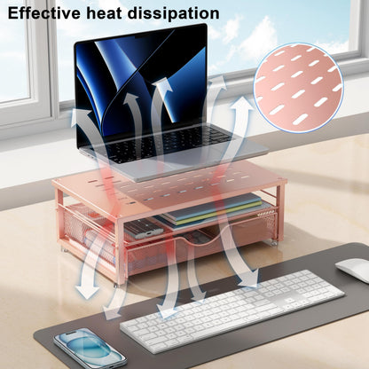 gianotter Computer Monitor Stand Riser with Drawer