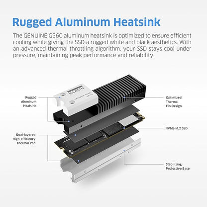 KLEVV Genuine G560 1TB M.2 2280 NVMe PCIe Gen5x4 Internal SSD Heatsink Included, up to 13000MB/s with DRAM Cash (K01TBM2SP0-G56)