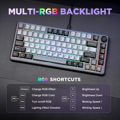 YUNZII B75 75% Hot Swap RGB Mechanical Keyboard(Dark Grey,Cocoa V2)
