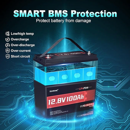 12V 100Ah LiFePO4 Lithium Battery, Built-in 100A BMS Group 31, 6000+ Deep Cycles Rechargeable Battery Ideal For RV, Solar, Off-Grid Systems, Home Energy Storage,Marine