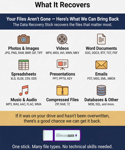 Data Recovery Stick for Windows Data Recovery Software – Photos, Files