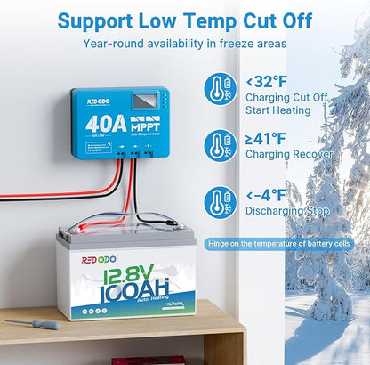 Redodo 12V 100Ah LiFePO4 Battery with Self-Heating, Built-in 100A BMS, Supports Low Temperature Charging(-4℉) Group 31 Lithium Battery, 4000+ Deep Cycles, Perfect for RV, Solar, Off-Grid in Cold Areas