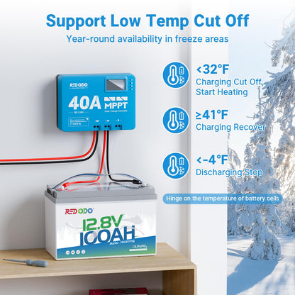 Redodo 12V 100Ah LiFePO4 Battery with Self Heating, Low Temperature Protection Group 31 Lithium Battery, Built in 100A BMS, 4000+ Deep Cycles, Perfect for RVs, Off-Grid in Cold Areas 2 Packs