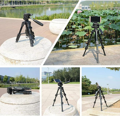 Mini Tripod for Camera,Zomei Travel Table Tripod with 3-Way Pan/Tilt Head 1/4 inches Quick Release Plate and Bag for DSLR Camera Tripod Carrying Bag