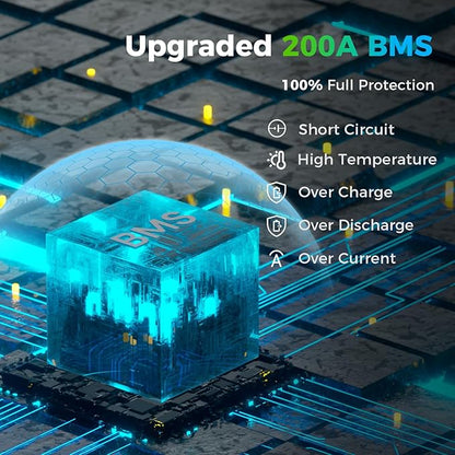 Dyness 12V 200Ah PLUS LiFePO4 Battery, Max. 2560Wh Power, 12.8V LiFePO4 Battery Upgrade 200A BMS with Low-Temp Protection, 4000+ Deep Cycles 12V Lithium Battery Perfect for RV, Solar System, Off-Grid