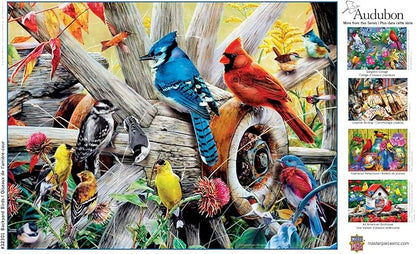 MasterPieces Audubon - Backyard Birds 300pc Ezgrip Puzzle
