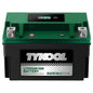 TYKOOL LFP30L-BS-STD Lithium Battery, Replaces YTX30L-BS, 650CCA 12Ah Fits for Motorcycle UTV ATV PWC, Compatible with Harley Touring Road King Moto Guzzi 1000cc Polaris Ranger RZR 800,Digital Readout