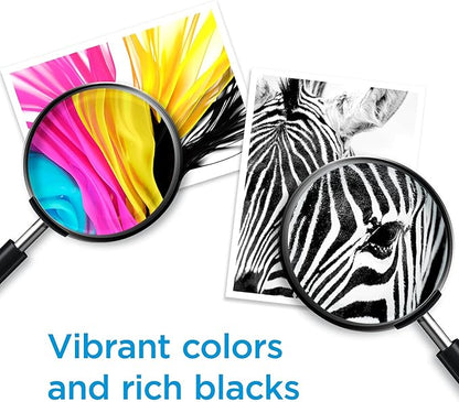 HP 62XL Black High-yield Ink Cartridges for HP Printers | Works with Printer Series: ENVY 5540, 5640, 5660, 7640, OfficeJet 5740, 8040, OfficeJet Mobile 200, 250 | Instant Ink | C2P05AN