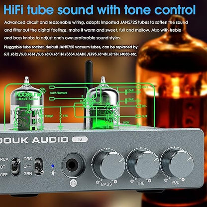 Douk Audio T6 2 Channel 80 watts x2 Bluetooth Tube Amplifier Hi-Fi Stereo Power Amp Audio Wireless Receiver with Headphone/Line Output & Treble Bass Tone Control