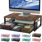 gianotter Computer Monitor Stand Riser with Drawer