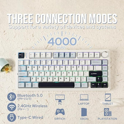 EPOMAKER x Aula F75 Gasket Mechanical Keyboard, 75% Wireless Hot Swappable Gaming Keyboard with Five-Layer Padding&Knob, Bluetooth/2.4GHz/USB-C, RGB (Light Blue, Ice Vein Switch)