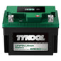 TYKOOL LFP30L-BS-STD Lithium Battery, Replaces YTX30L-BS, 650CCA 12Ah Fits for Motorcycle UTV ATV PWC, Compatible with Harley Touring Road King Moto Guzzi 1000cc Polaris Ranger RZR 800,Digital Readout