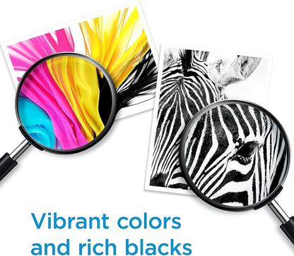 HP 962XL Magenta High-yield Ink Cartridge | Works with HP OfficeJet 9010 Series, HP OfficeJet Pro 9010, 9020 Series | Eligible for Instant Ink | 3JA01AN