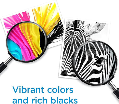 HP 910 Cyan Ink Cartridge | Works with HP OfficeJet 8010, 8020 Series, HP OfficeJet Pro 8020, 8030 Series | Eligible for Instant Ink | 3YL58AN