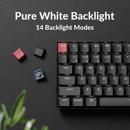 Keychron K2 75% Layout QMK Wireless and Wired Options Mechanical Keyboard Super Banana Switch, Paired with Shine-Through Double-Shot PBT Keycaps for Mac Windows-Version 3