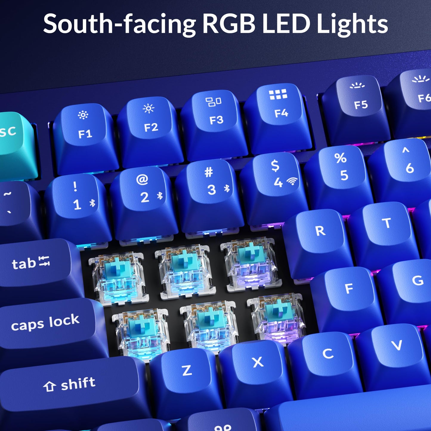 Keychron Q1 RGB Wired Custom Mechanical Keyboard, 75% Layout QMK/VIA Programmable Macro with Hot-swappable Gateron G Pro Blue Switch Double Gasket Compatible with Mac Windows Linux (Blue) -Version 2