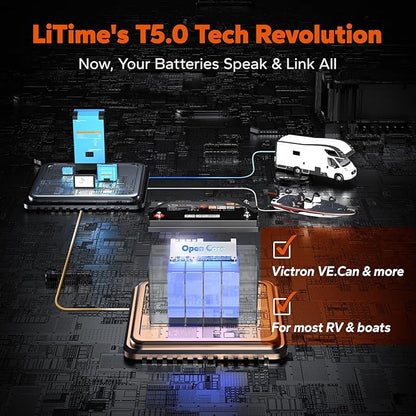 LiTime 12V 100Ah LiFePO4 Group 31 Battery, Compatible with Victron, Built-in 100A BMS & Bluetooth, Low-Temperature Protection, CAN/RS485 Communication, Ideal for Trolling Motors, Marine, RV (2Pack)