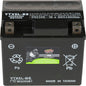 Interstate Batteries YTX14AH-BS Powersports Battery 12V 12Ah 210CCA AGM