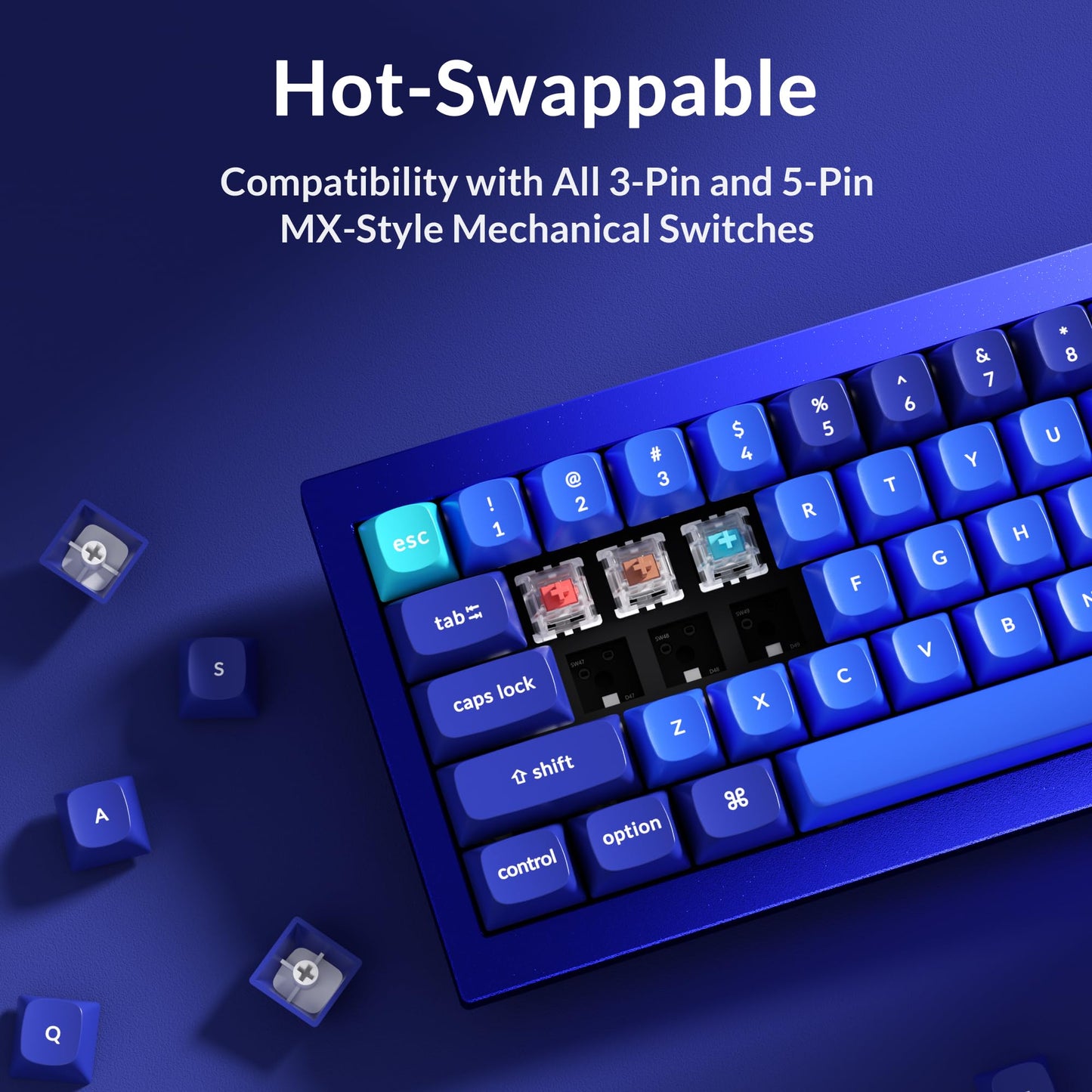 Keychron Q4 Wired Custom Mechanical Keyboard, 60% Layout QMK/VIA Programmable Macro with Hot-swappable Gateron G Pro Brown Switch Double Gasket Compatible with Mac Windows Linux(Navy Blue)