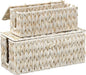 Cable Management Box,Boho Decorative Handwoven 2 Open Slots Cord Organizer Hider Box with Lid for TV Wires, Computer, Router, USB Hub and Under Desk Power Strip