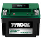 TYKOOL LFP30L-BS-STD Lithium Battery, Replaces YTX30L-BS, 650CCA 12Ah Fits for Motorcycle UTV ATV PWC, Compatible with Harley Touring Road King Moto Guzzi 1000cc Polaris Ranger RZR 800,Digital Readout