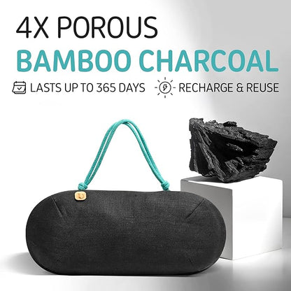 Car Air Freshener - Lasts 365+ Days - No Chemicals - 100% Activated Bamboo Charcoal - No Fragrance Deodorizer, Auto Odor Eliminator - Absorb Smoke Smell [2Pk]