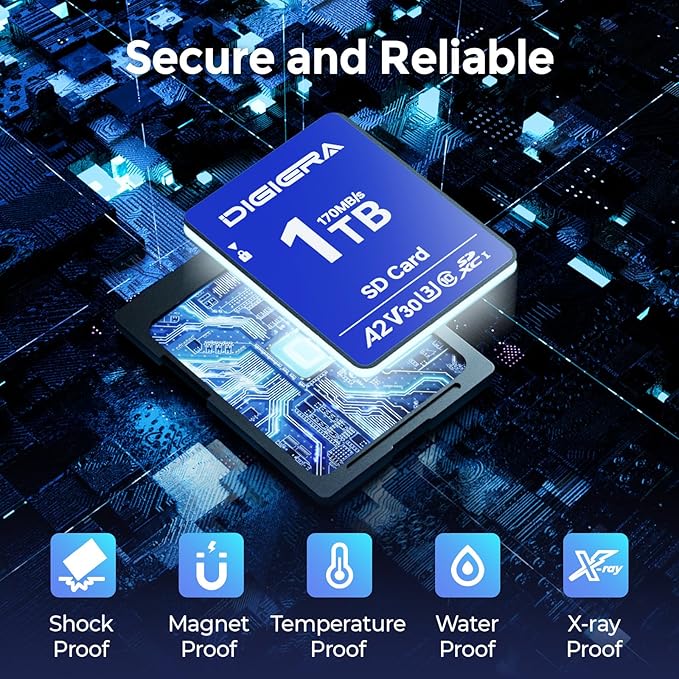 1T LS100 SDXC UHS-I Memory Card - up to 170MB/s, C10, U3, V30, 4K UHD, SD Card for Computers, Digital Cameras, Home Theatre Devices, Car Navigation Systems (1 Pack)