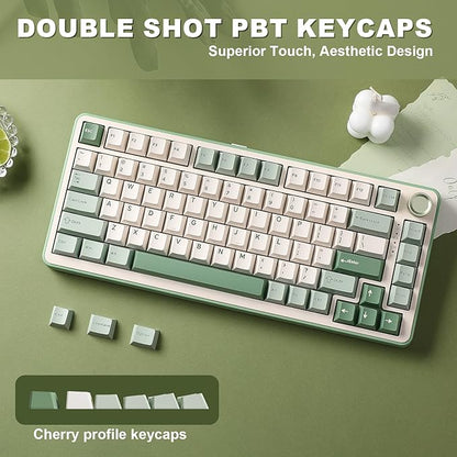 YUNZII B75 PRO Wireless Mechanical Keyboard,75% Layout with Knob,Hot Swap Gasket Structure,Creamy Pre-lubed Switches,RGB Backlit,Bluetooth/Type-C/2.4G for Win/Mac (Matcha Green, Milk Switch)