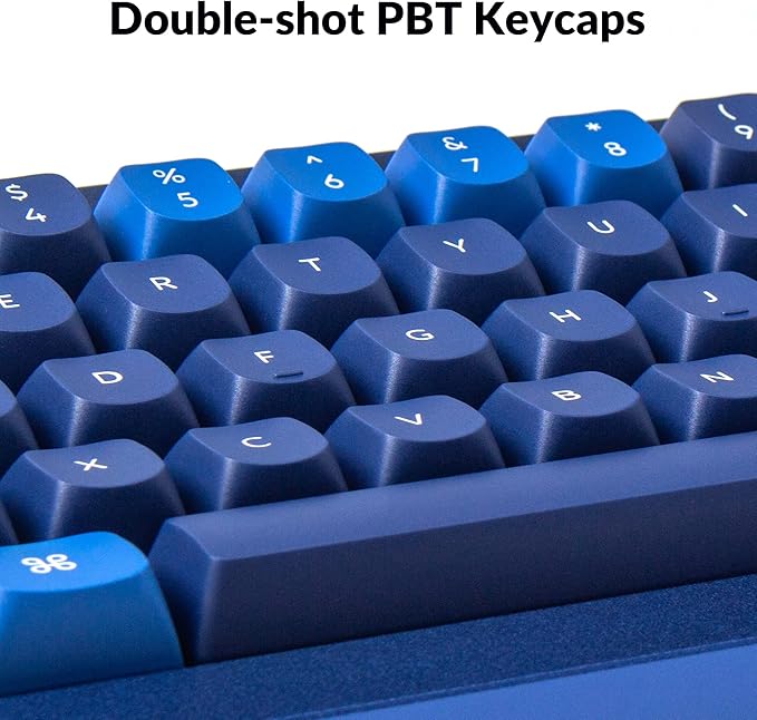 Keychron Q2 Wired Custom Mechanical Keyboard, QMK/VIA Programmable Macro, Full Aluminum, Hot-Swappable Gateron G Pro Brown Switch, 65% Layout Double Gasket Compatible with Mac and Windows - Blue