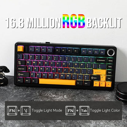 EPOMAKER x Aula F75 Gasket Mechanical Keyboard, 75% Wireless Hot Swappable Gaming Keyboard with Five-Layer Padding&Knob, Bluetooth/2.4GHz/USB-C, RGB (Black, Ice Vein Switch)