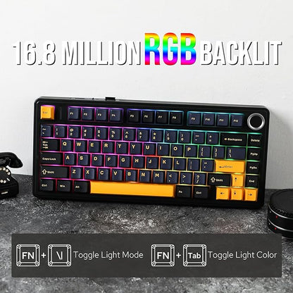 EPOMAKER x Aula F75 Gasket Mechanical Keyboard, 75% Wireless Hot Swappable Gaming Keyboard with Five-Layer Padding&Knob, Bluetooth/2.4GHz/USB-C, RGB (Black, LEOBOG Reaper Switch)