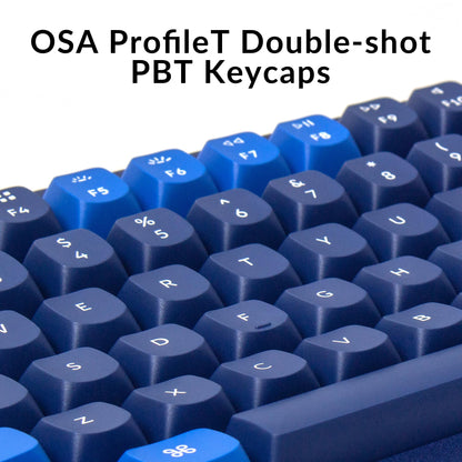 Keychron Q5 Wired Custom Mechanical Keyboard Knob Version, 96% Layout QMK/VIA Programmable Macro with Hot-swappable Gateron G Pro Red Switch Double Gasket Compatible with Mac Windows Linux (Blue)