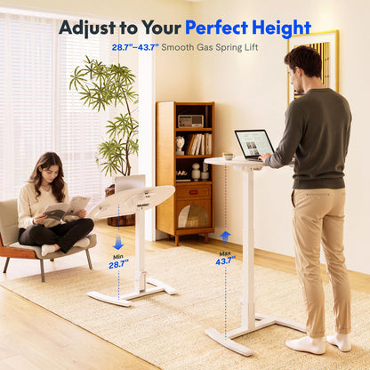 FLEXISPOT Mobile Gas Spring Lift Standing Desk 90° Tilting,Double Folding