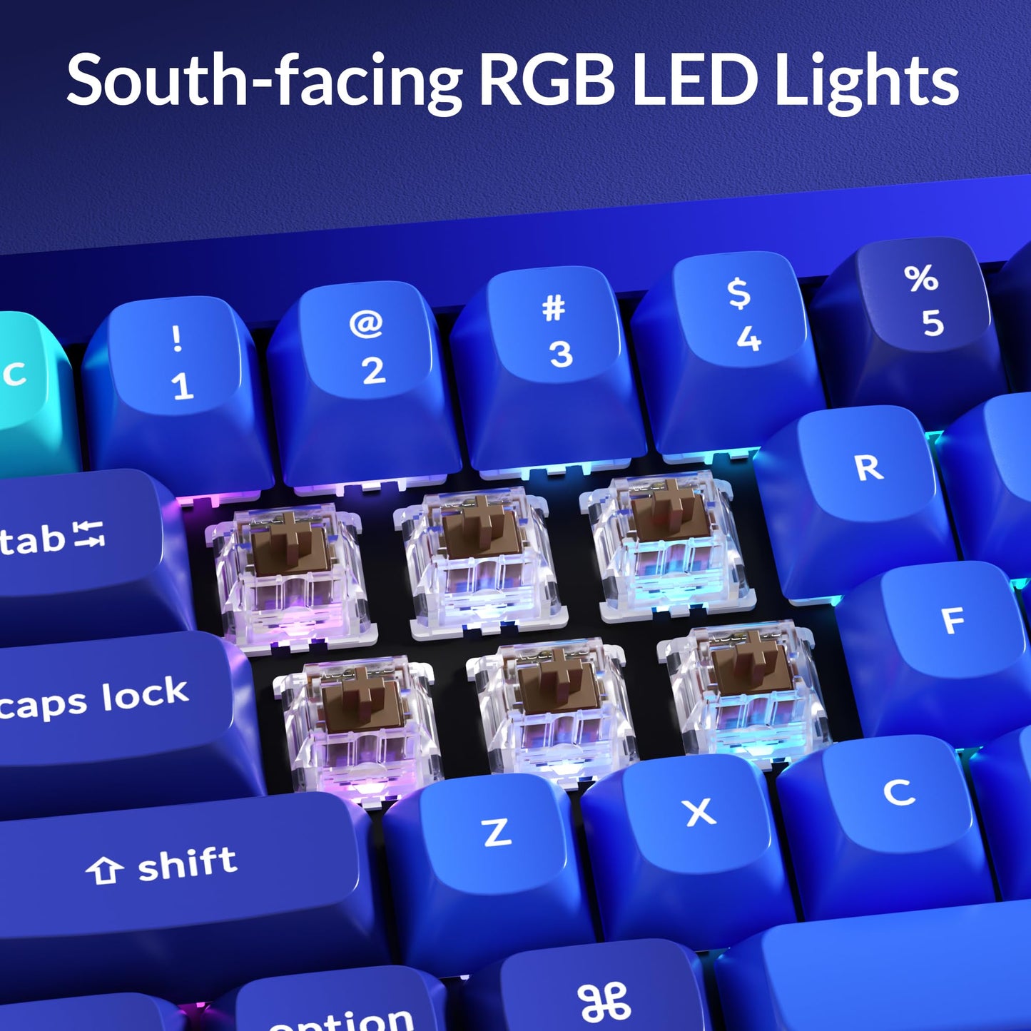 Keychron Q4 Wired Custom Mechanical Keyboard, 60% Layout QMK/VIA Programmable Macro with Hot-swappable Gateron G Pro Brown Switch Double Gasket Compatible with Mac Windows Linux(Navy Blue)