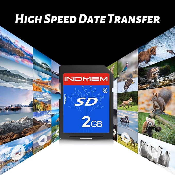 INDMEM 2GB SD Card, 10 Packs Class 4 2GB Flash Memory Card MLC Standard Secure Digital Cards Camera Card