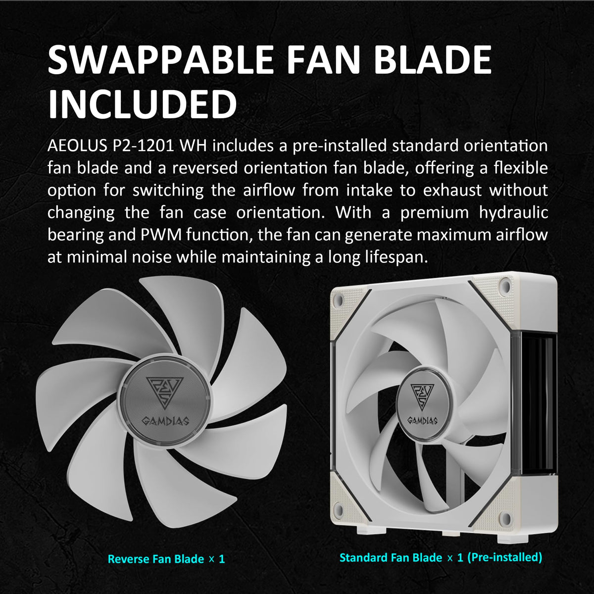 GAMDIAS Aeolus P2-1203U 120mm ARGB PWM Fan(3 Fan Pack w/USB Hub), Include Reverse Fan Blade x3, ARGB Sync Ready, Easy Installation & Cabless Daisy-Chain Design, Silent Operation, Up to 2400RPM, White
