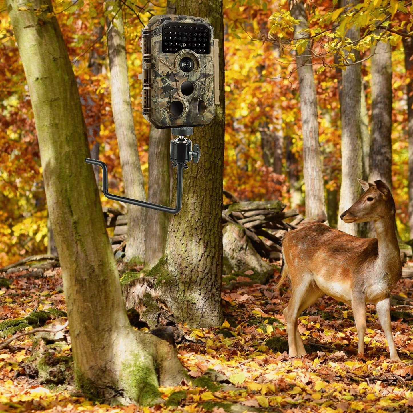 Trail Camera Mount, 4 Pcs Trail Camera Holder with 1/4 in Screw,Hunting Accessories,360° Adjustable Tree Screw Mounting Bracket for Game Cameras, Solar Panels, etc, Easy to Install & Heavy duty
