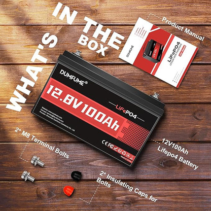 12V 100Ah LiFePO4 Lithium Battery, Built-in 100A BMS Group 31, 6000+ Deep Cycles Rechargeable Battery Ideal For RV, Solar, Off-Grid Systems, Home Energy Storage,Marine