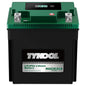 TYKOOL LFP30L-BS-STD Lithium Battery, Replaces YTX30L-BS, 650CCA 12Ah Fits for Motorcycle UTV ATV PWC, Compatible with Harley Touring Road King Moto Guzzi 1000cc Polaris Ranger RZR 800,Digital Readout