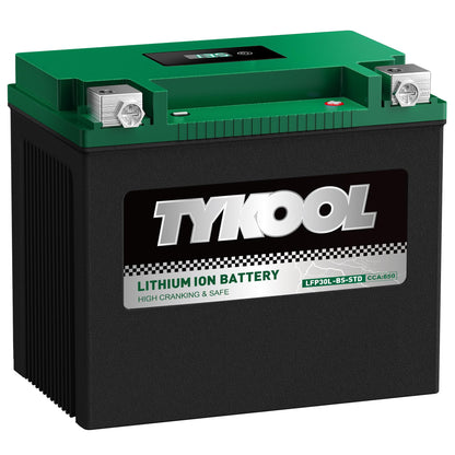 TYKOOL LFP30L-BS-STD Lithium Battery, Replaces YTX30L-BS, 650CCA 12Ah Fits for Motorcycle UTV ATV PWC, Compatible with Harley Touring Road King Moto Guzzi 1000cc Polaris Ranger RZR 800,Digital Readout