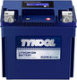 TYKOOL YTX14L-BS 3X Cranking Amps,5X Life, Lithium LiFePO4 Motorcycle Battery,12V 8Ah,480CCA,Digital Readout, Built in BMS,Powersports Battery, Compatible for Harley-Davidson, BRP (Sea-doo) Spark 900