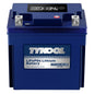 TYKOOL LFP30L-BS-PRO Lithium LiFePO4 Battery 18Ah 800CCA, LCD Readout IP66,Compatible with Harley Touring Road Glide Street Glide, Polaris RZR Ranger 1000, Can-Am Defender Maverick, Replaces YTX30L-BS