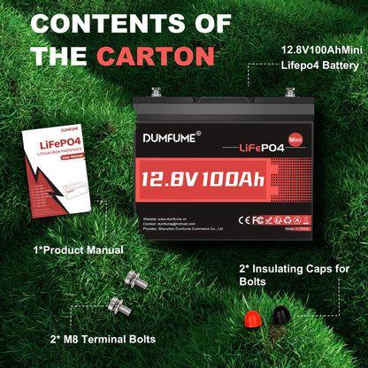 12V 100Ah Mini LiFePO4 Lithium Battery, Built-in 100A BMS,1280Wh Deep Cycle Rechargeable Battery 6000+ Cycles 10-Year Lifespan for RV, Solar, Off-Grid and Home Energy Storage