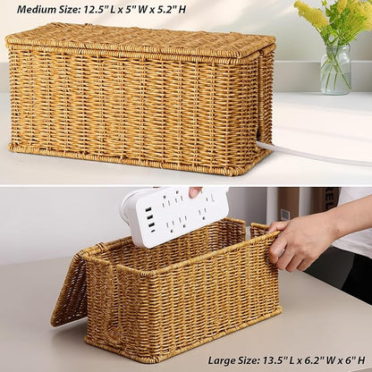 2Pack Large Cable Management Box, Handwoven Imitation Rattan Cord Organizer Cord Hider Box, Desk Wire Management to Hide Cords and Power Strips, Natural